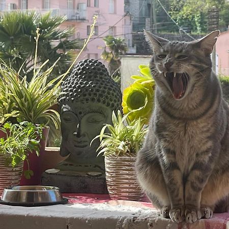 Pozzo Di Borgo Apartman Ajaccio  Kültér fotó