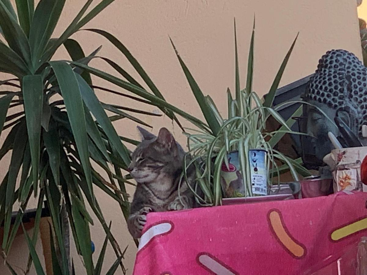 Pozzo Di Borgo Apartman Ajaccio  Kültér fotó